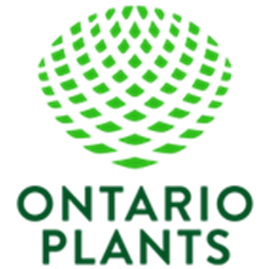 Ontario Plants Propagation Ltd